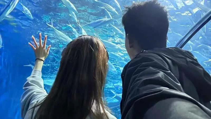 Two visitors watching the main tank at Osaka Aquarium Kaiyukan on a couple ticket for the Osaka aquarium
